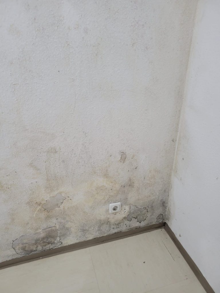 Schimmel in der Wohnung